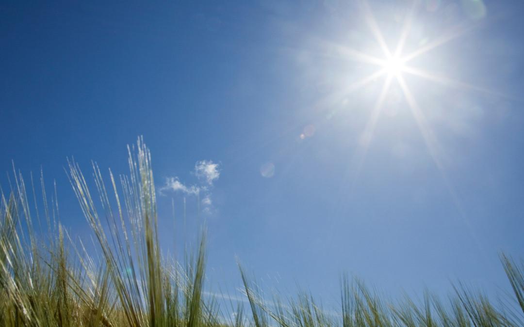 Coal Maybe Tumbling but the Sun is Shining