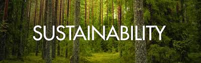 Desperately in Need of the “S” in Sustainability