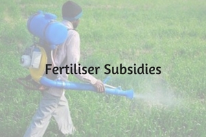 Fertilizer Subsidy