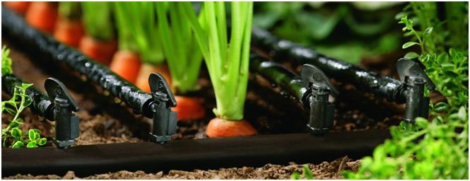 Focusing on Sustainable Irrigation: Looking Beyond Land and the Heavens