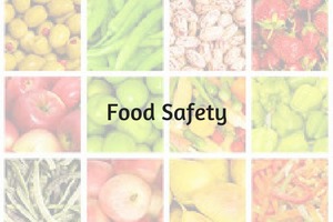 Food safety in India