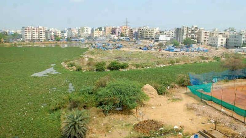 Land Regularization in Andhra Pradesh