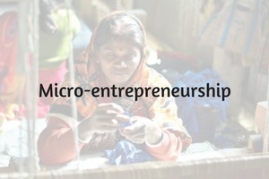 Micro-entrepreneurship	in India